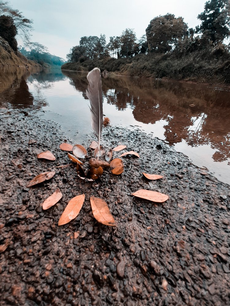 Photograph by Wilder Chica