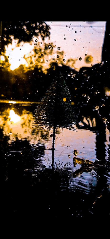 Photograph by Jasmany Reyes