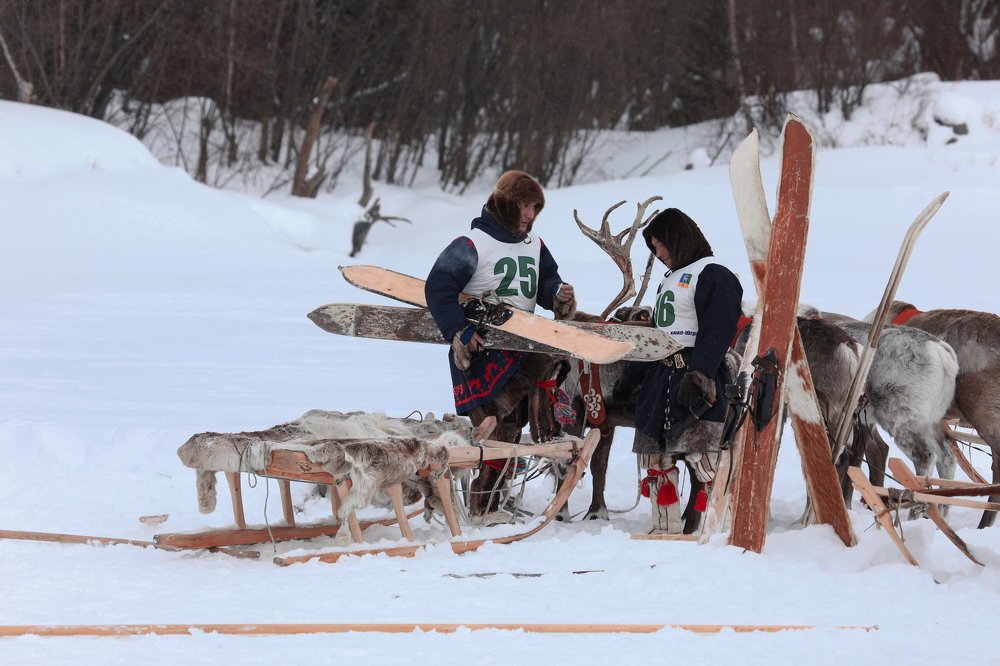 День оленевода