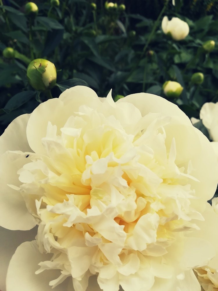 Photograph by Екатерина Козлова