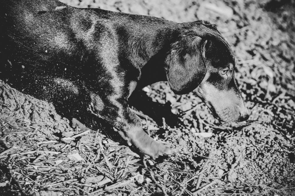 Photograph by Николай Кенгели