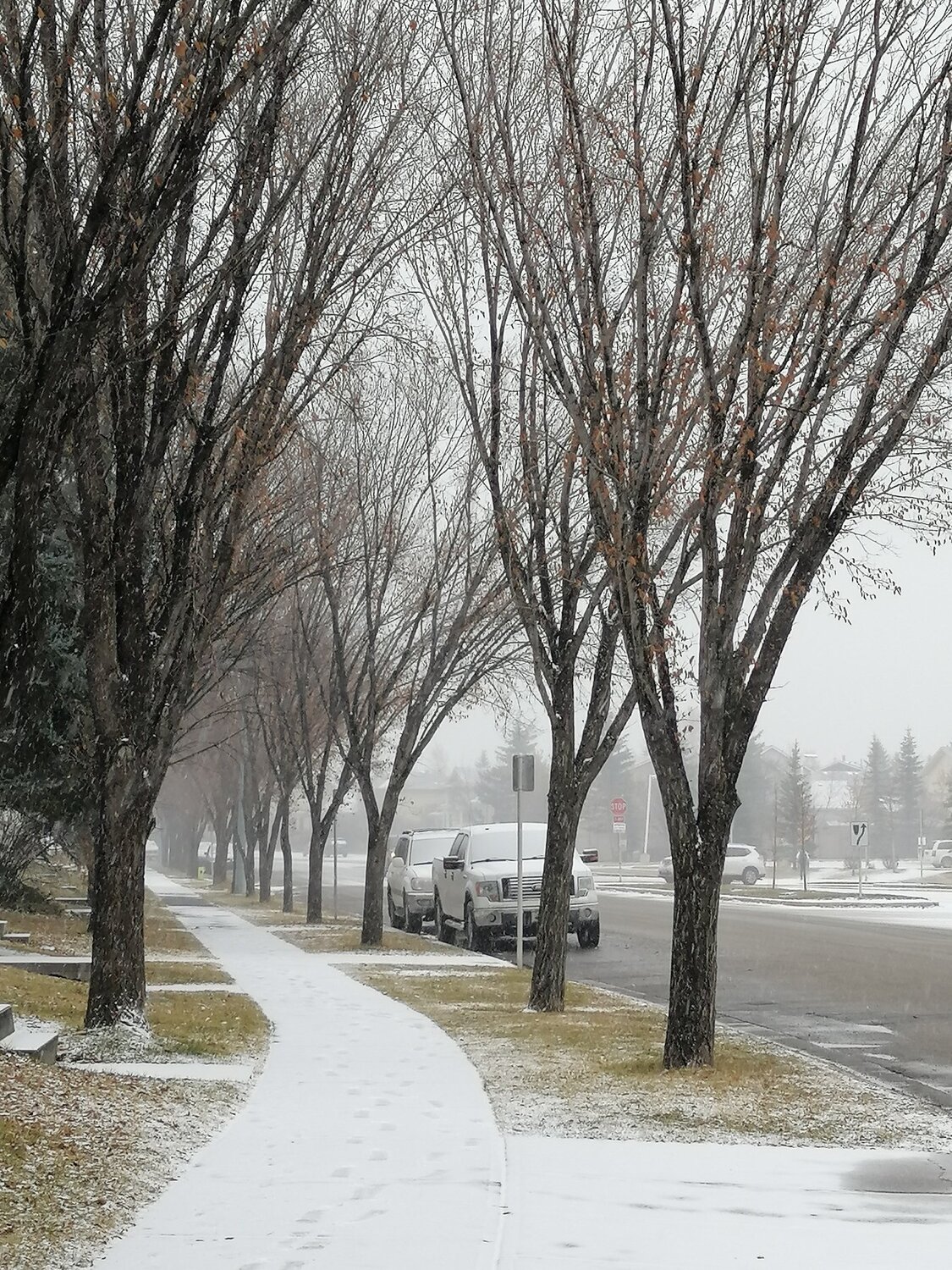 Photo #4403952