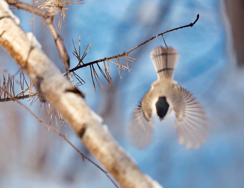 Photograph by Наталья Филькина