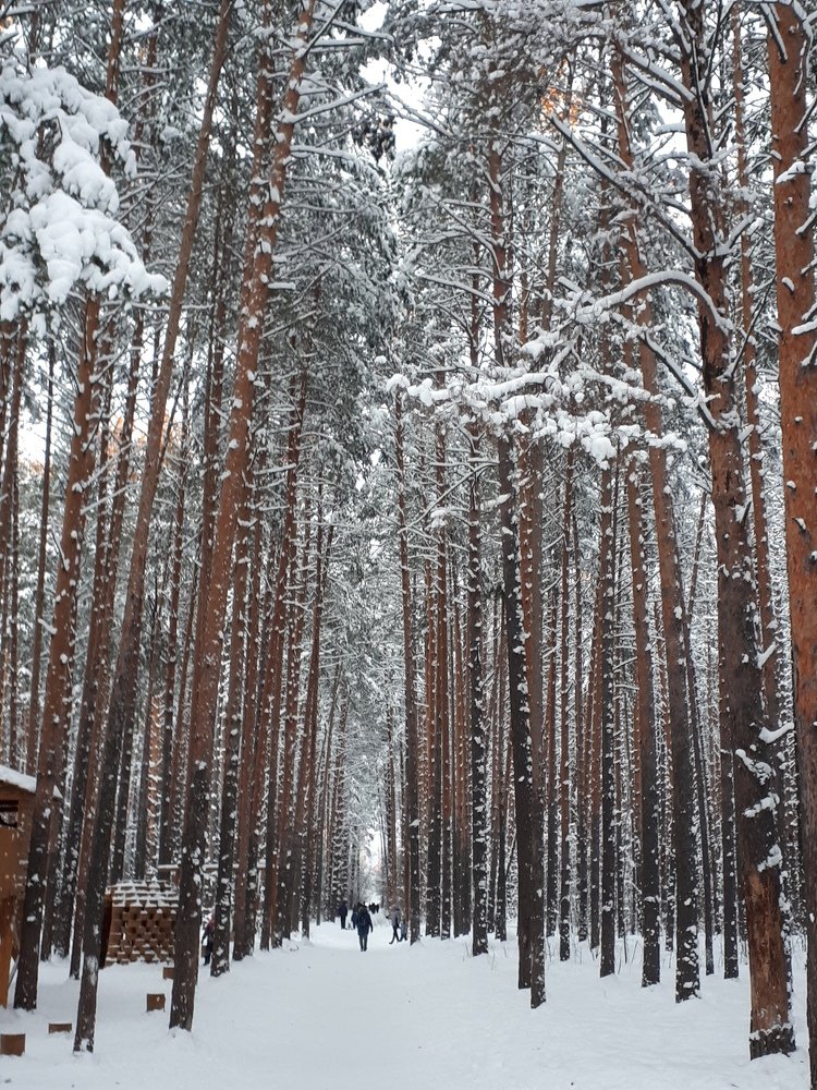 Photograph by Евгения Селиверстова