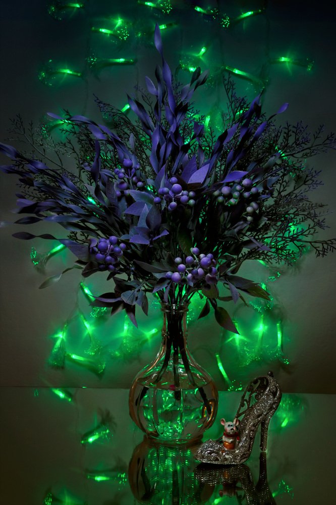 Волшебная туфелька, Отражение,