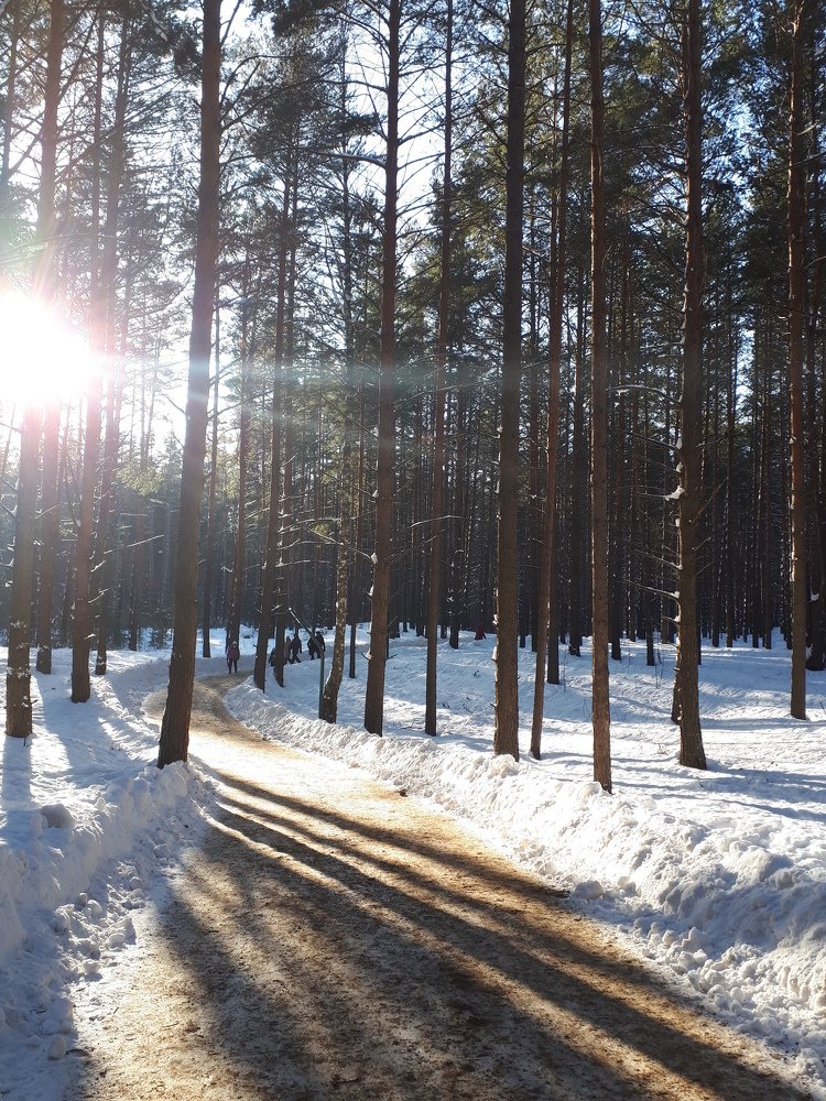 Photograph by Евгения Селиверстова