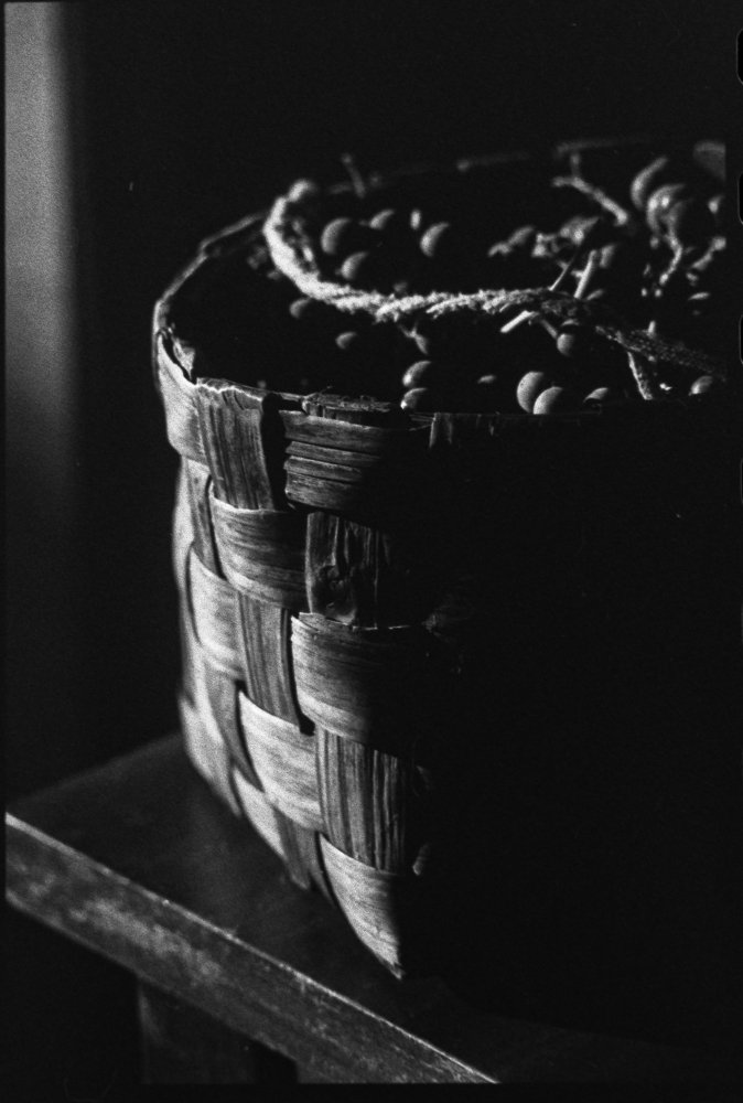 Photograph by Яроцкий Михаил