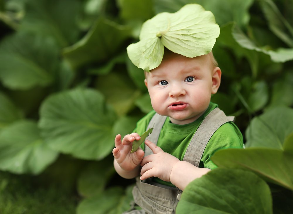 Photograph by Елена Травкина