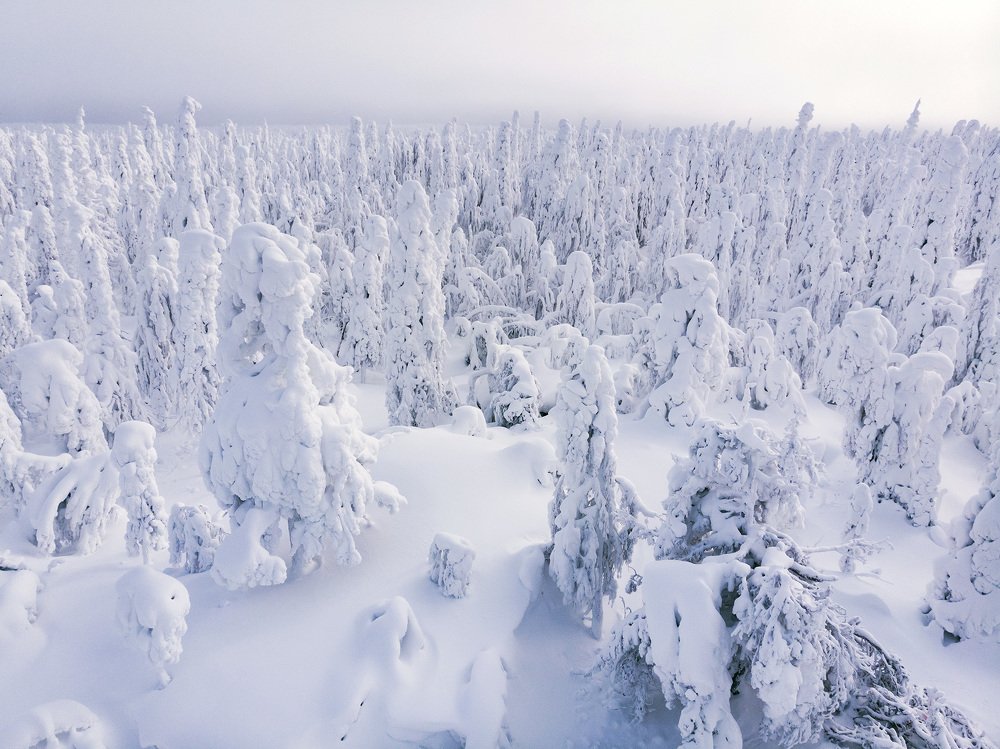 Чужие здесь не ходят