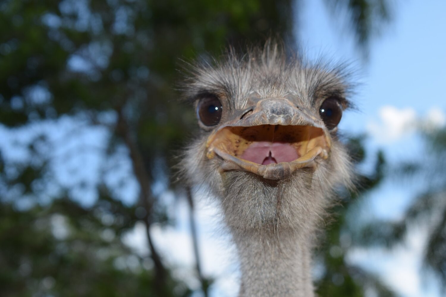Photo #4404138