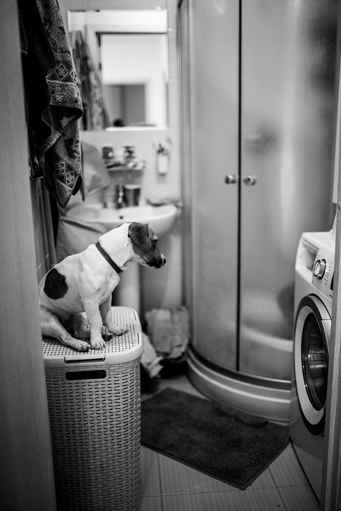 Photograph by Елина Ольга