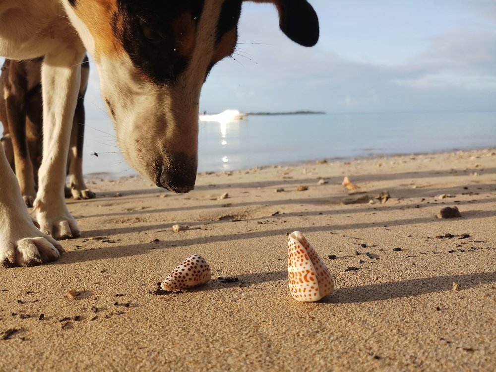 Photograph by Jeffry Yapon