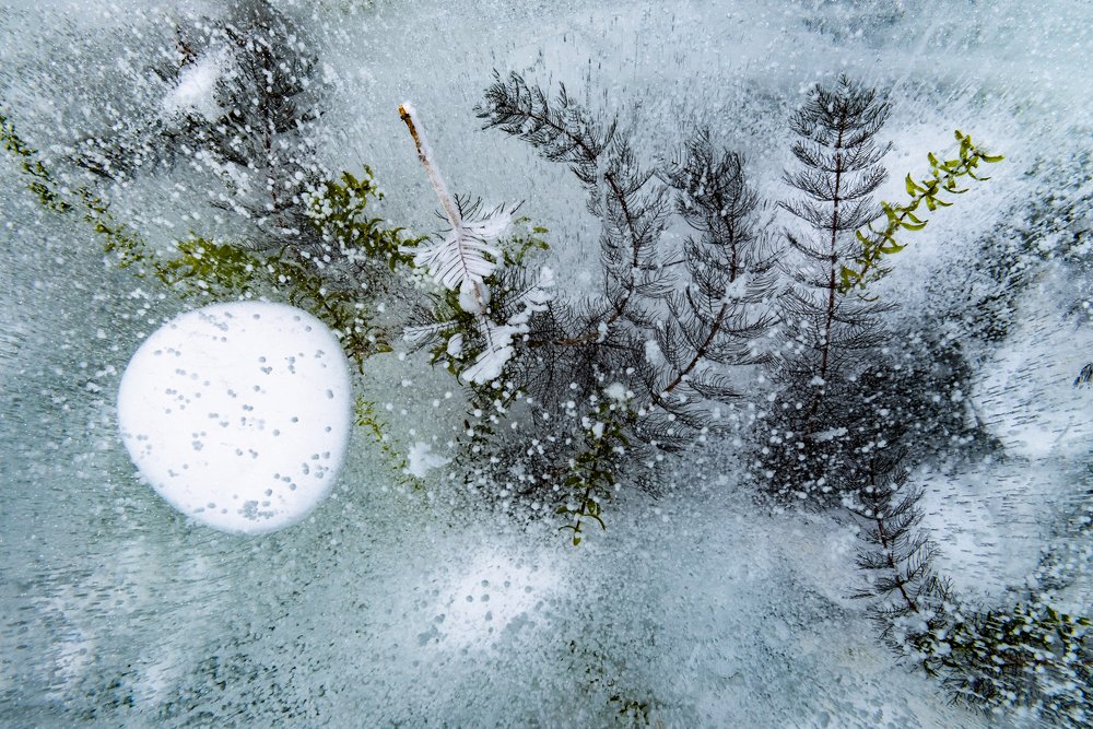 Photograph by Natali Burmeyster