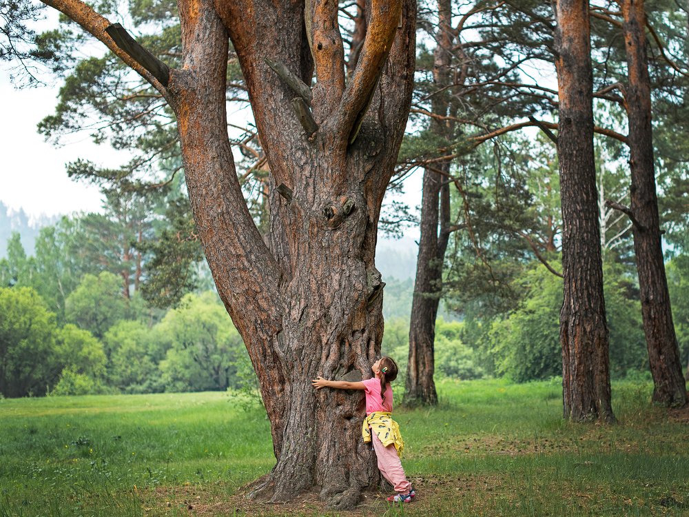 Photograph by Марина Михайлова
