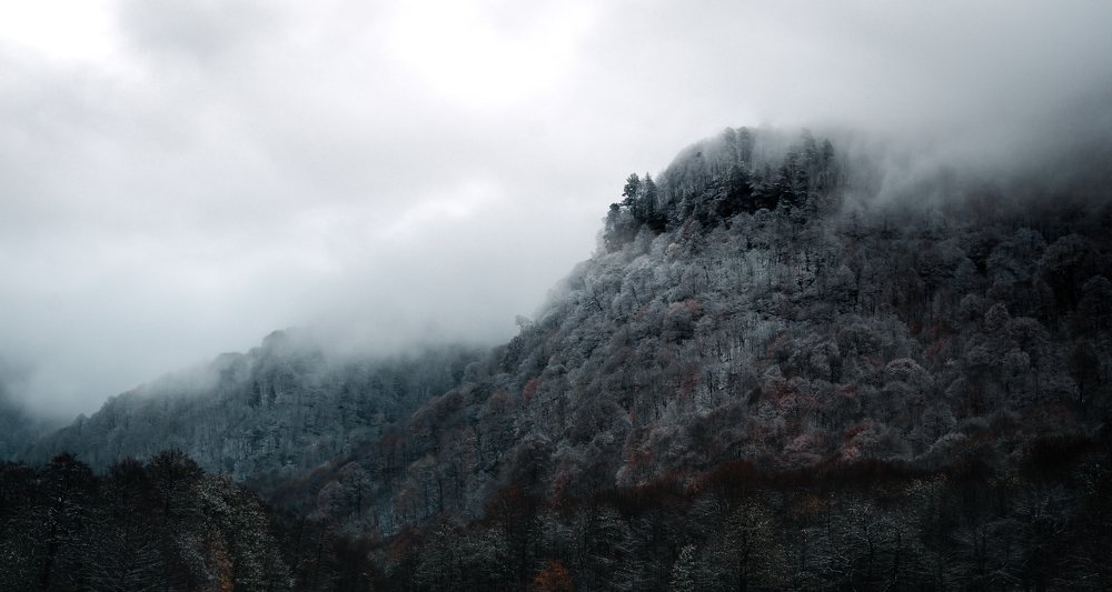 Photograph by Владимир Кондратьев