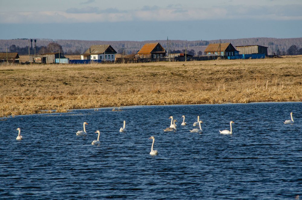 Photograph by Светлана Усова