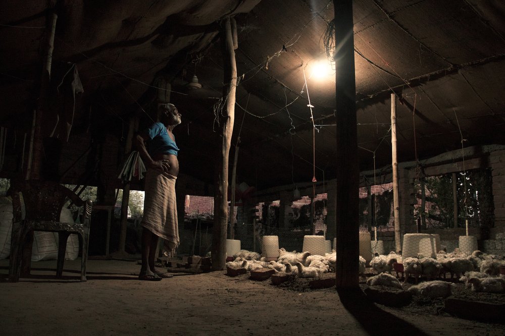 Looking for  good time