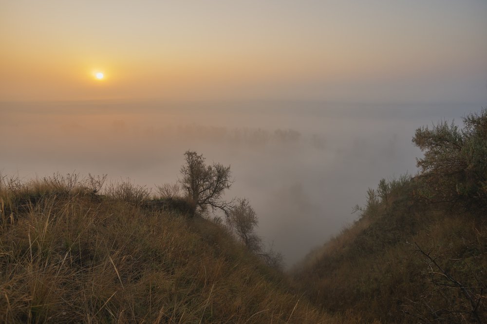 Photograph by Игорь