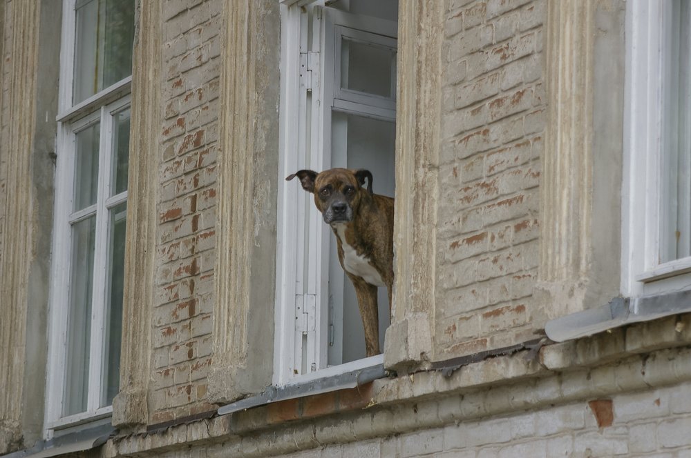 Photograph by Геннадий Богданов