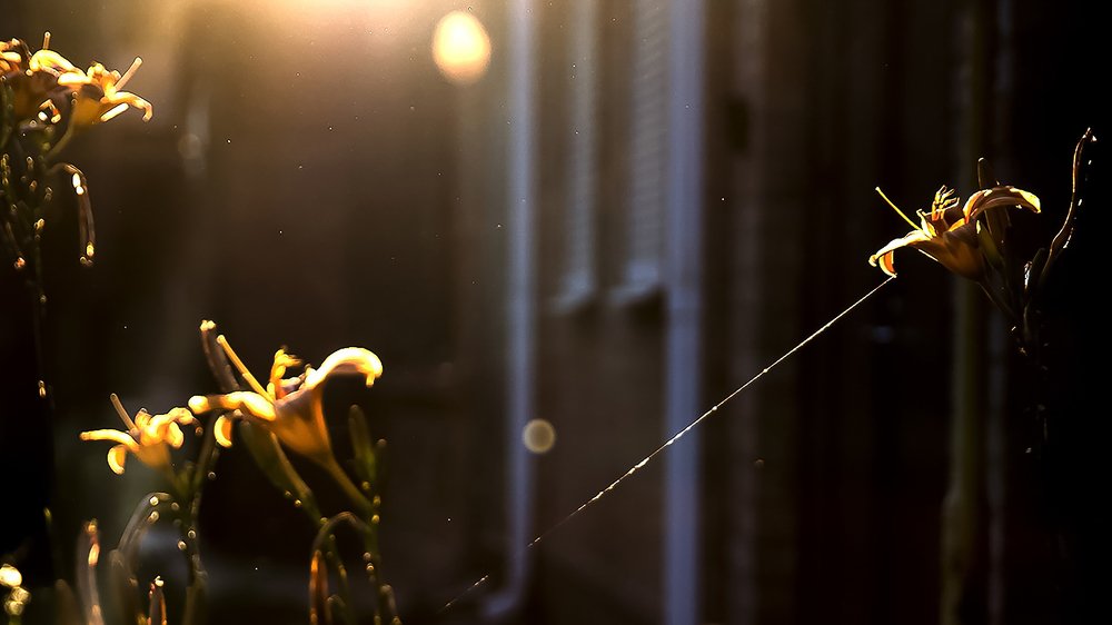 Photograph by Геннадий Богданов