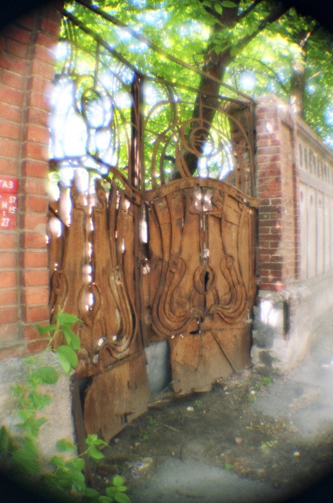 Photograph by Геннадий Богданов