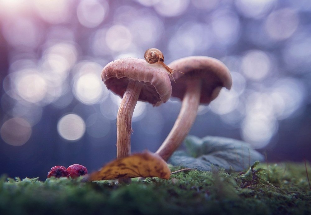 Осенним вечером