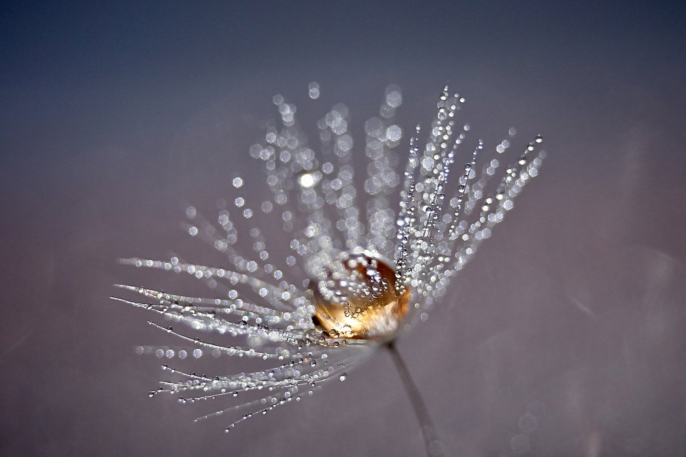 Photograph by Юлия Хаванова