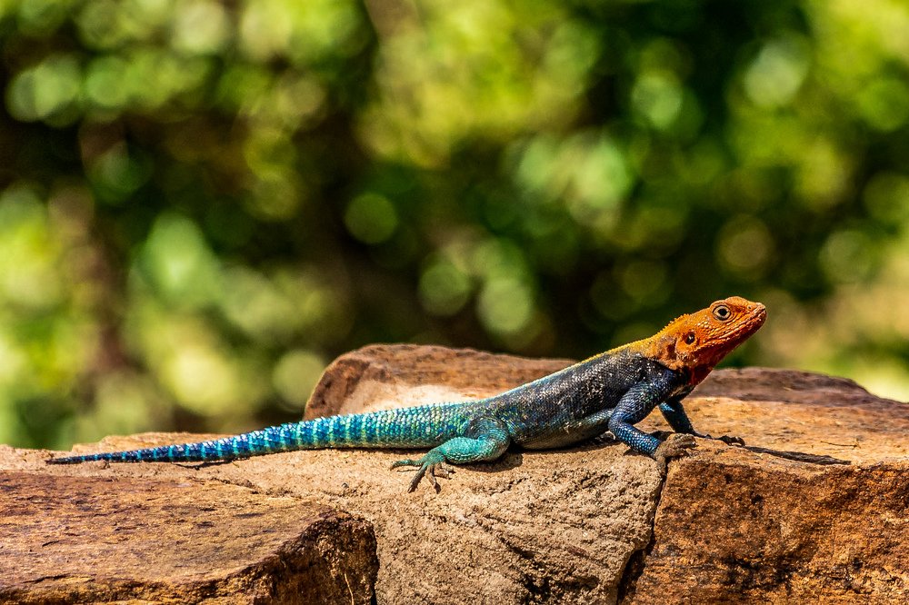 Photograph by Zainab Mejja