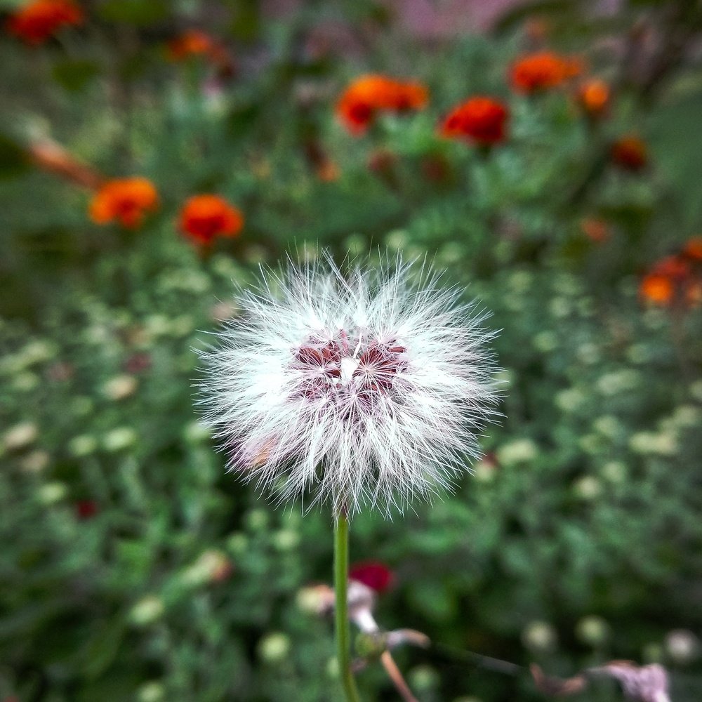 Photograph by Марина Шамич