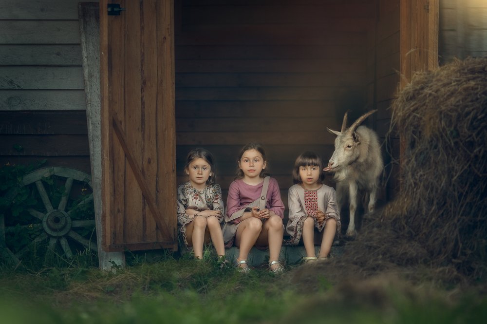 Photograph by Костюк Зоя