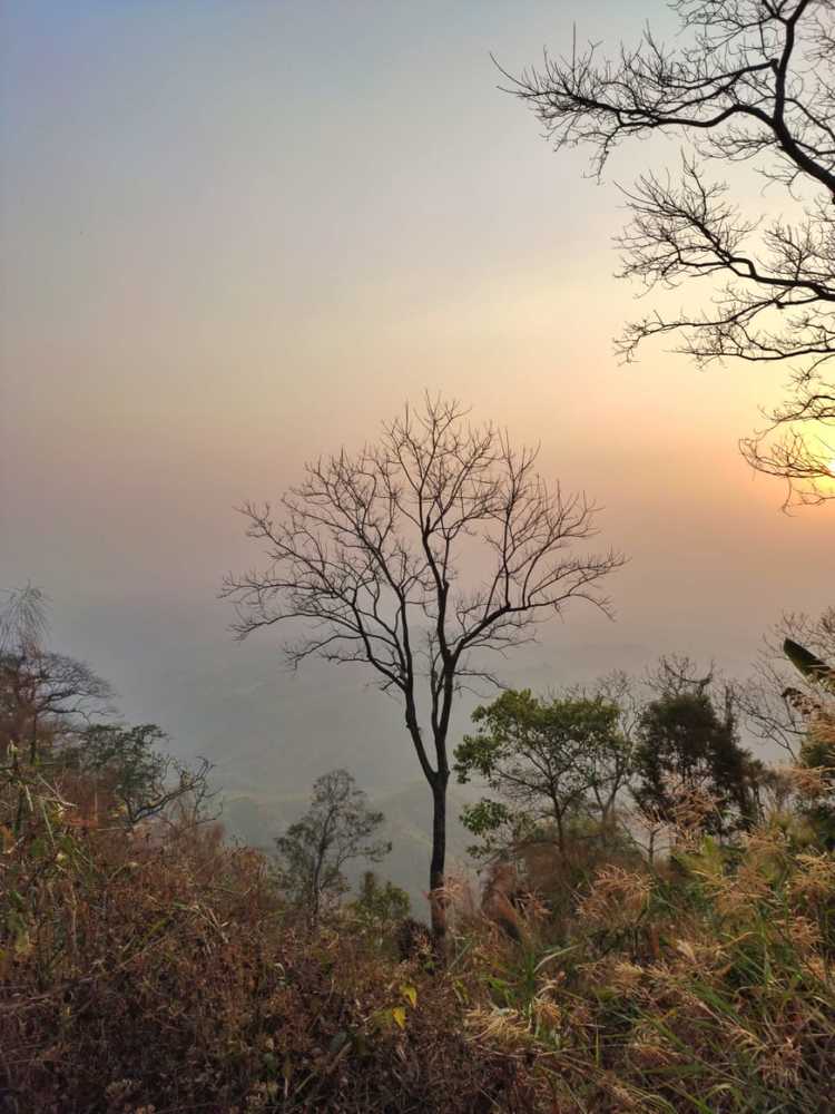 Photograph by Anomita Das