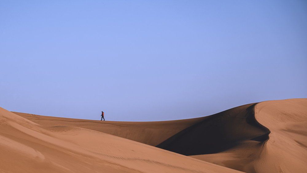 Photograph by  Reza Mohammadi