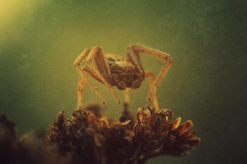 Photograph by Фролова Евгения