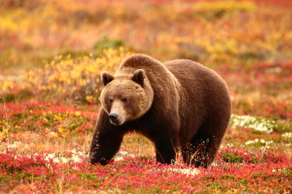 Photograph by Марго Ерёмина