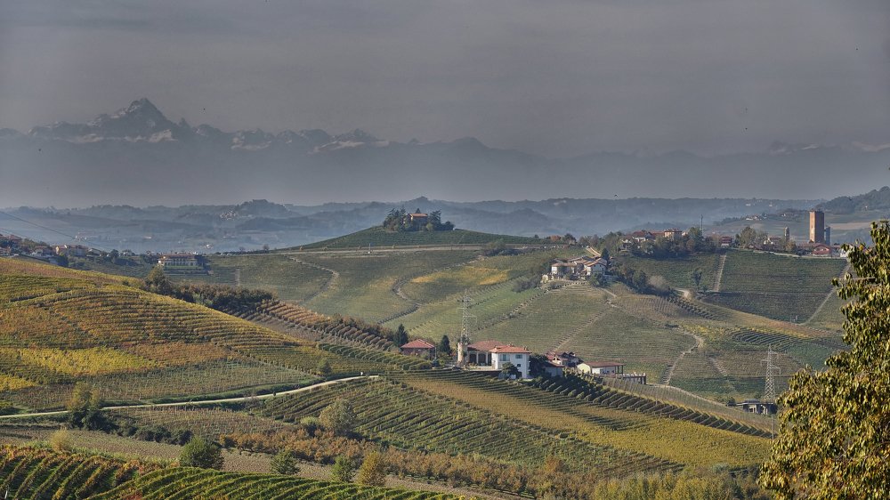 Photograph by Luca Milani