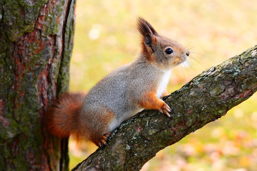 Photograph by Liana Lauta