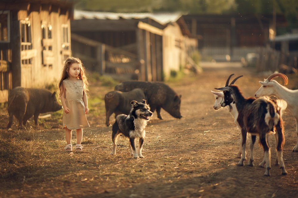 Photograph by Костюк Зоя