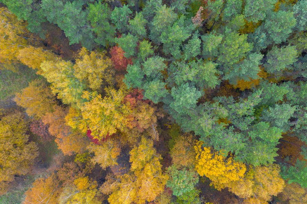 Photograph by Александр Иванов