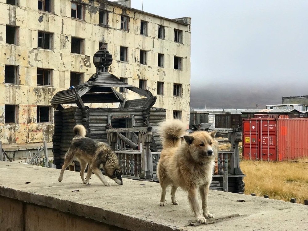 Photograph by Дарья Сидорова