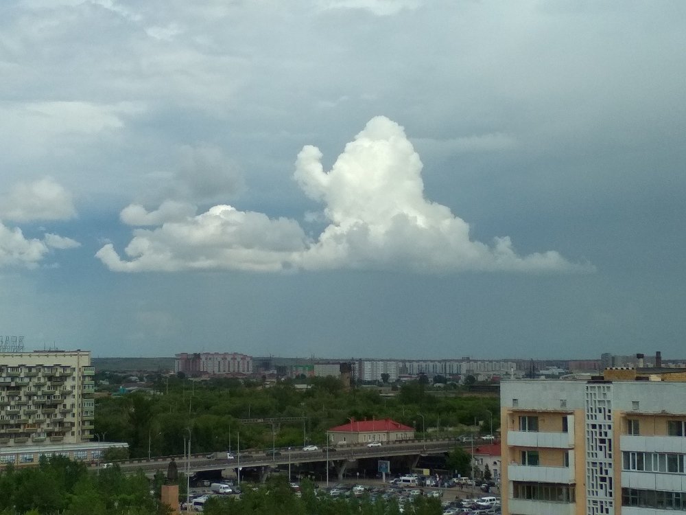 а был ли слоник...