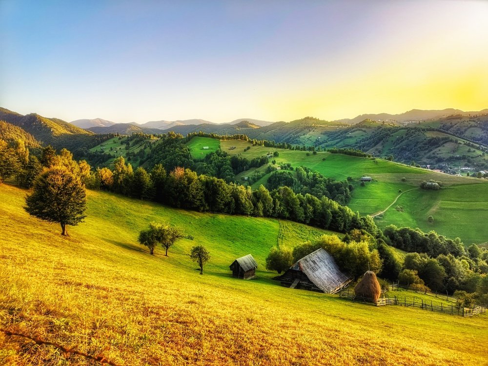 Photograph by Daria Virbanescu