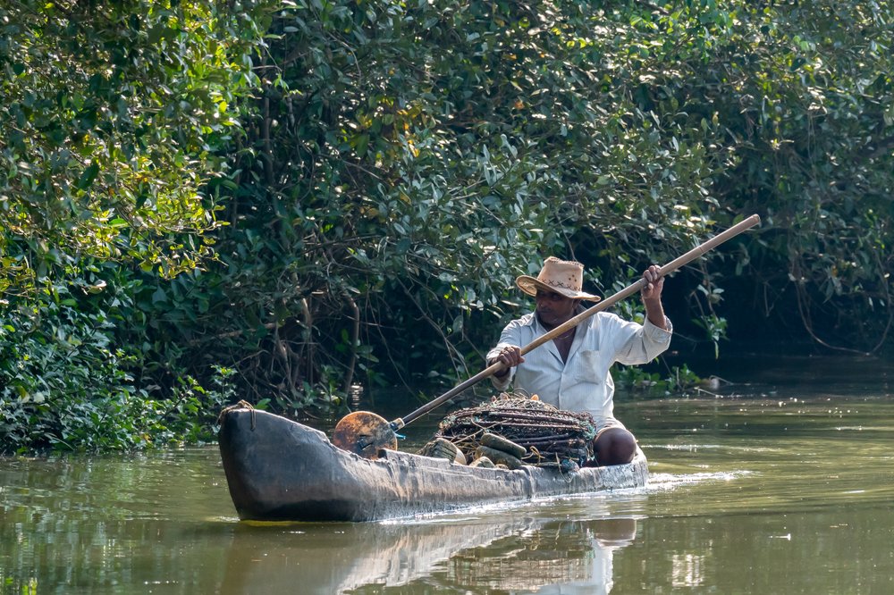 Photograph by Сергей Сыресин