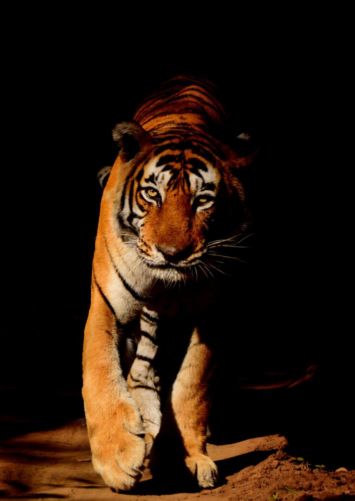 Emerging from the dark.