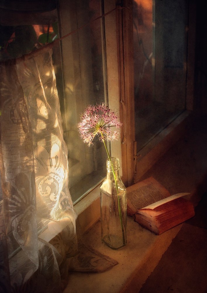 Photograph by Александр Хромеев