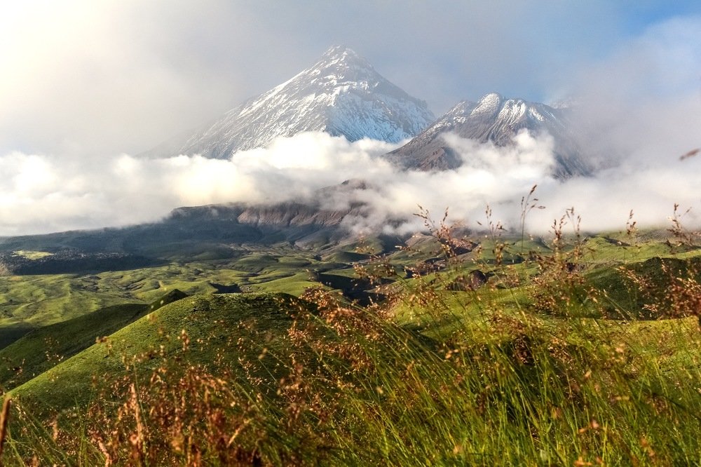 Фотография автора Nadezhda Okorokova