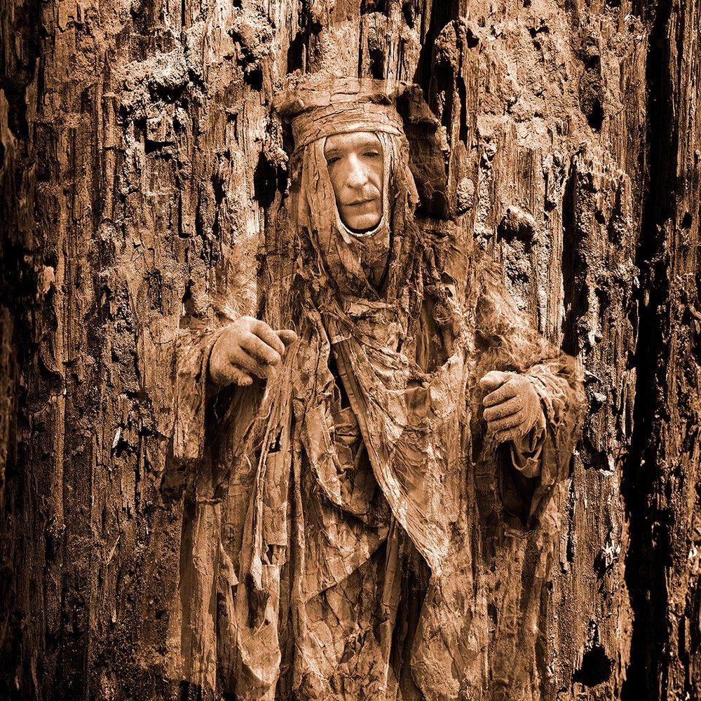 Легенды старого дерева