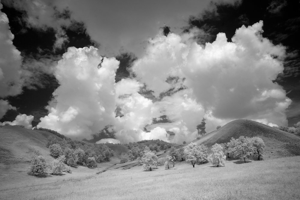 Фотография автора Олег Грачёв