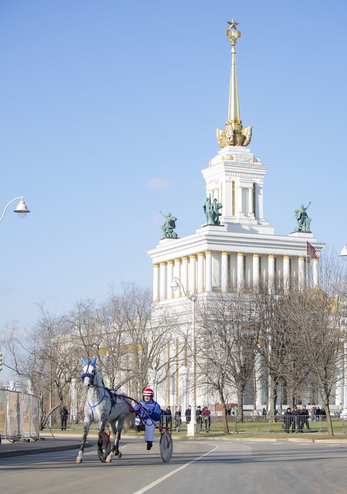 Photograph by Юлия Дудкова