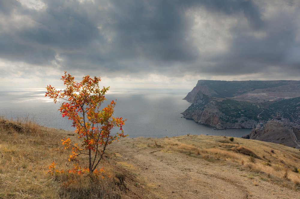 Photograph by Письменскова Анна