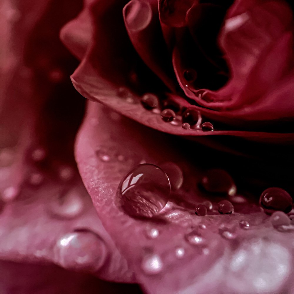 Photograph by Кристина Ковальчук